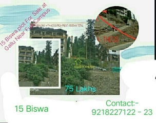 15 Biswa plot for Sale in gallu near kufari Shimla Hp