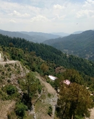 13 Biswa ( 2+ Map approved) Plot for sale in Beolia Shimla HP