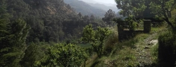 77 Bigha land for sale in Rajgarh Himachal Pradesh