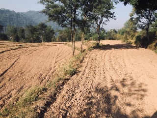 70 Bigha land for sale near Ram Shehar Nalagarh Himachal Pradesh