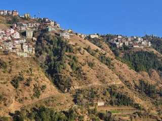 9 Bigha land for sale in Shimla Himachal Pradesh