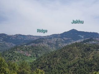 70 Bigha Land For Sale in Shimla Himachal Pradesh