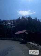 18 Bighas Plot For Sale near Lafughati Distt Shimla